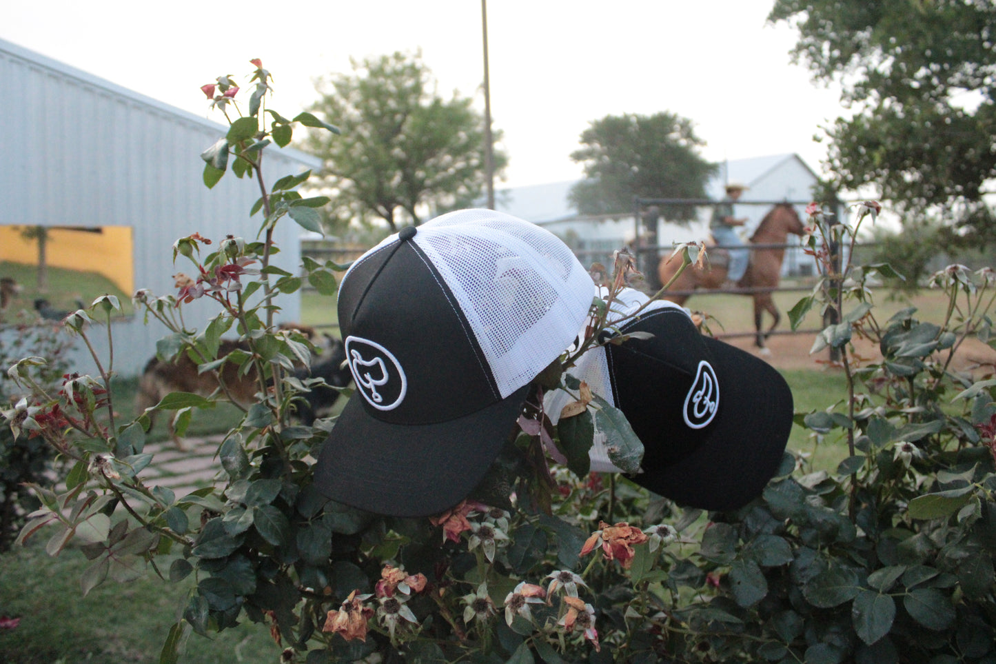 Chap Saddle Caps